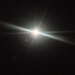 Creatures Of The Night