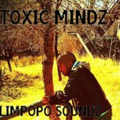 Toxic Mindz Music