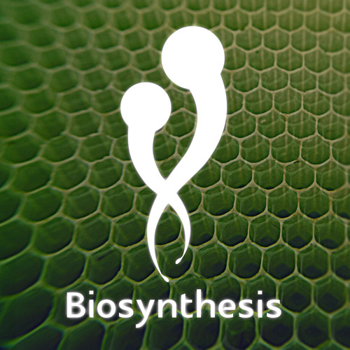 SoundCloud profile picture for @biosynthesis