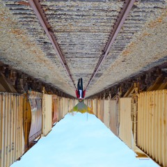 Mr. Sharma Official Page