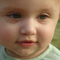 Gul Ubaid