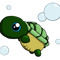 Jessee Turtle Hincenbergs