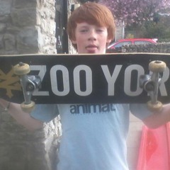 steez13