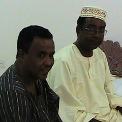 بدر النور
