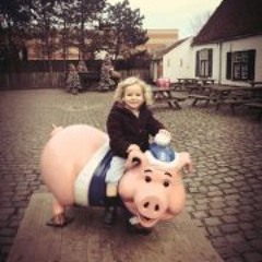 Bart van Puymbroeck