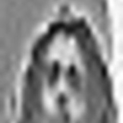 biuddha nakatano n4tural