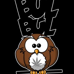 Bulbul & The Good Governm