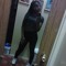 lovelymontana