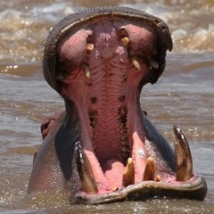 Life In a Box - Moonbeam Woman pt 2 (Freak Power Cover)