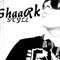 Shaarkstyle