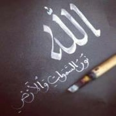 tareq234