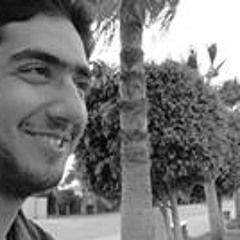 Mohammed Atef Shusha
