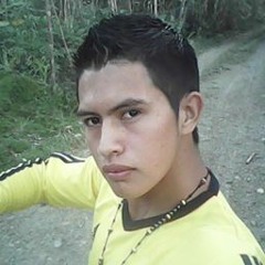 user366586508-1