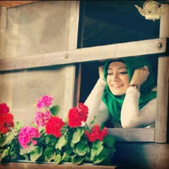 Amy ll