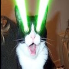 frenchcatswithlasers