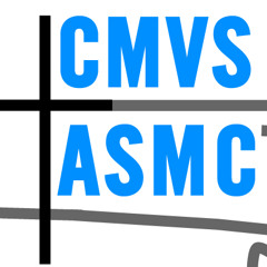 CMVS