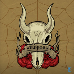 Wildborn Rock 'N' Roll