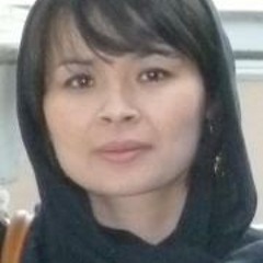 داریوش رفیعی