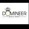 DomineerMedia