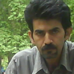 majid shahriyari