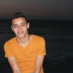 Mahmoud Amer AboElnaas