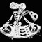 BoNe$ DBN