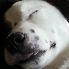 Kerstin "Joe" Simpson