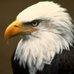 Giovanny Tardencilla