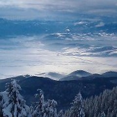 Andrei Mihai Mereuta