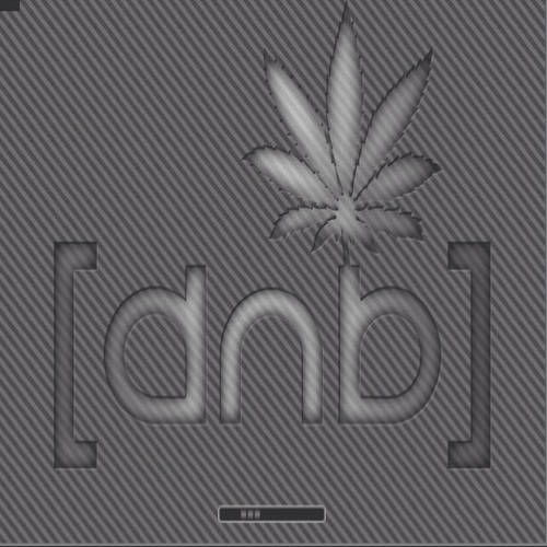 DnB Warrior
