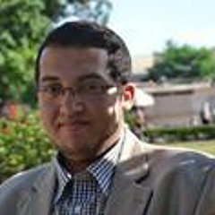 Mohammed Amer Shakry