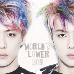 Flower Boy Sehun