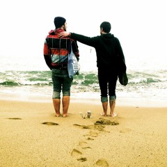 Herr und Frau Bassmöwe