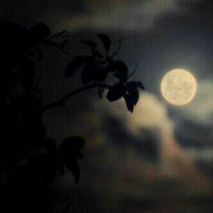 نايف الفيصل -قرآن