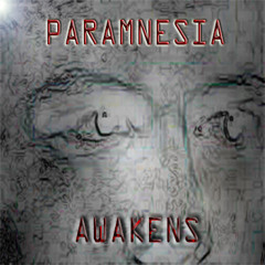 dj-paramnesia