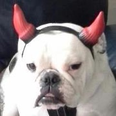 Dawn Trenary Bleakley