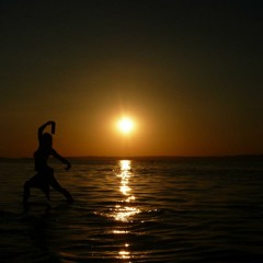 Fly_Away