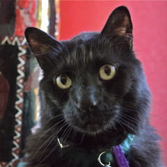 James E. Sanders Jr.