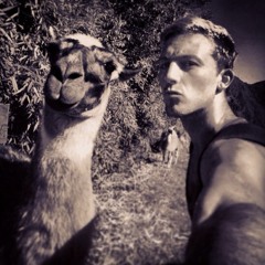 AReed1
