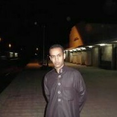 alaa almtoky