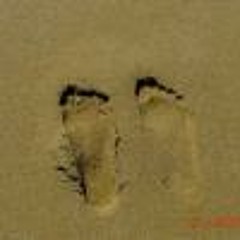 Ana Cristina Menezes