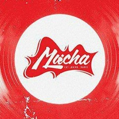 muchalucha2010