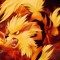 ╲⎝zero3growlithe⎠╱