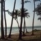 TROPIC:AL