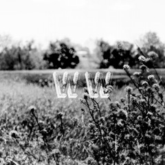 White Whiskey
