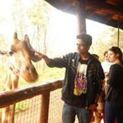 Shikhar Srivastava 4