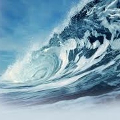 wikiwalet (NewBeginning)