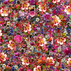 Urban Guerrilla Warfare