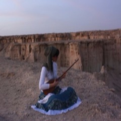 bahareh homaie