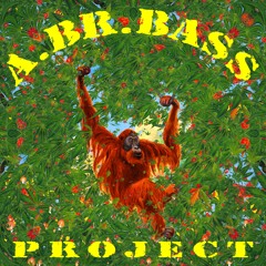 A.Br.Bass project